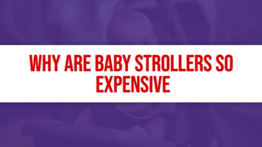 Why Are Baby Strollers So Expensive - toddlerchirps