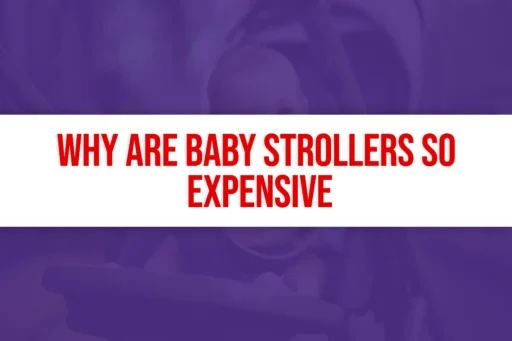 Why Are Baby Strollers So Expensive - toddlerchirps